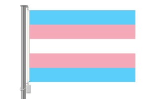 Transgenderflagge - Querformat 